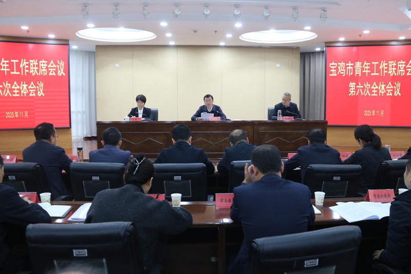 凝聚合力加快推动青年事业发展 宝鸡市青年工作联席会..